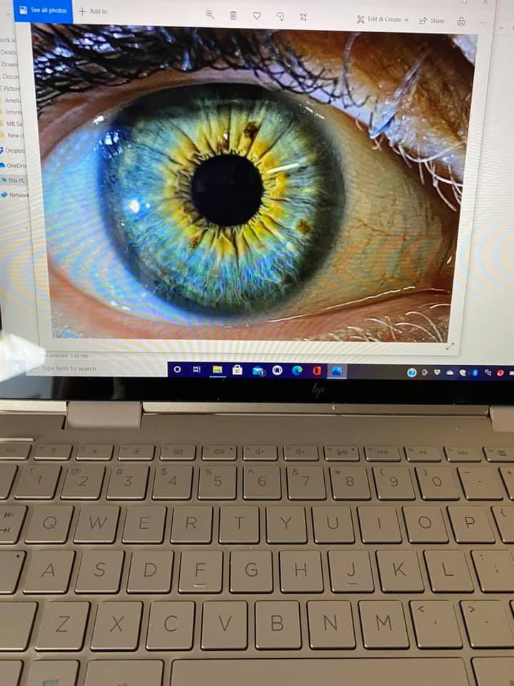 iris on laptop