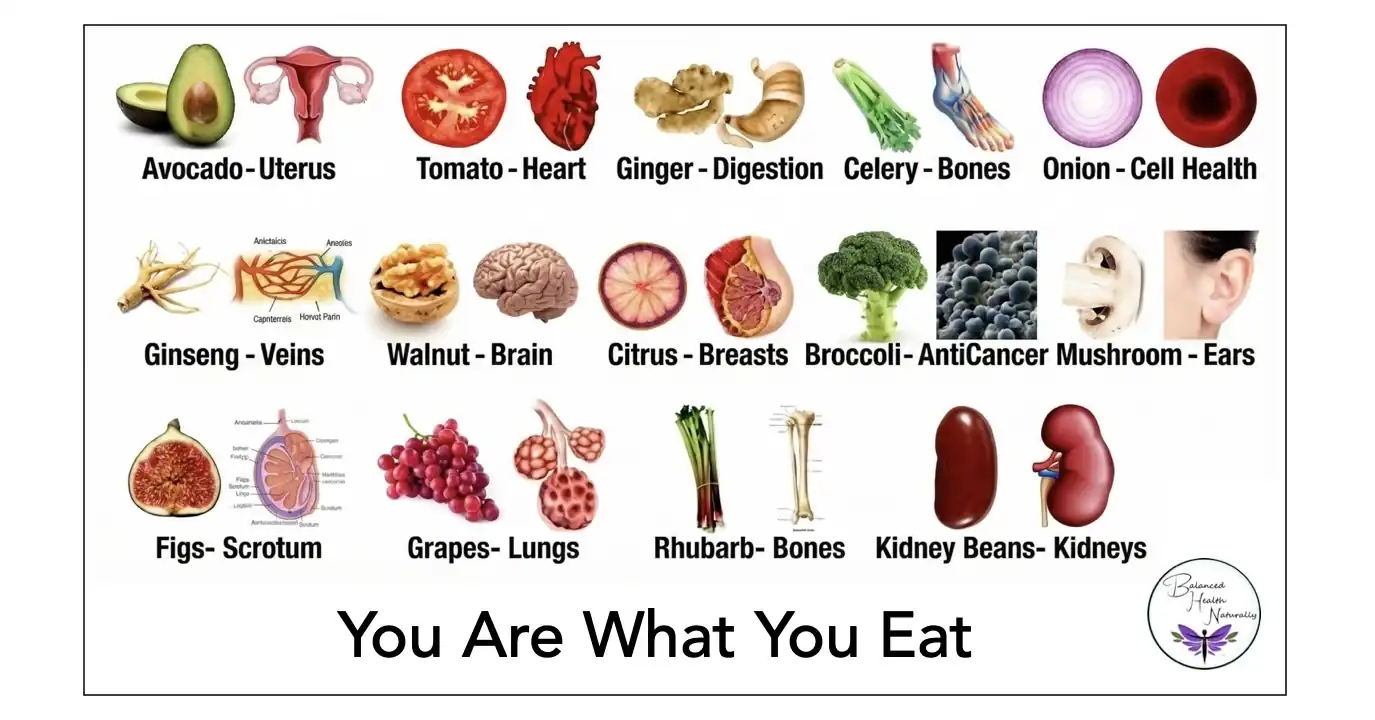Metabolic Health Principle: You Are What You Eat, coached by Jeannette Scapens, Naturopath